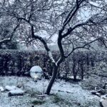 Luminate Cheshire in the snow